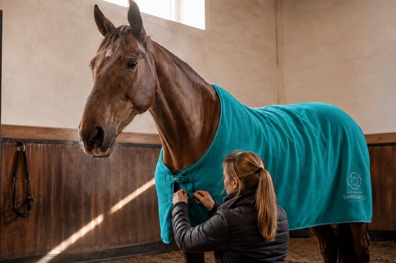 Horse Rug Types and Features: The Role of Fleece, Stable and Turnout Models