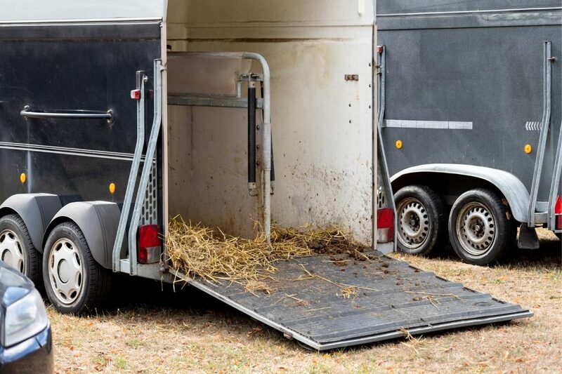 Stress-Free Horse Transport Checklist for Races and Long Trips