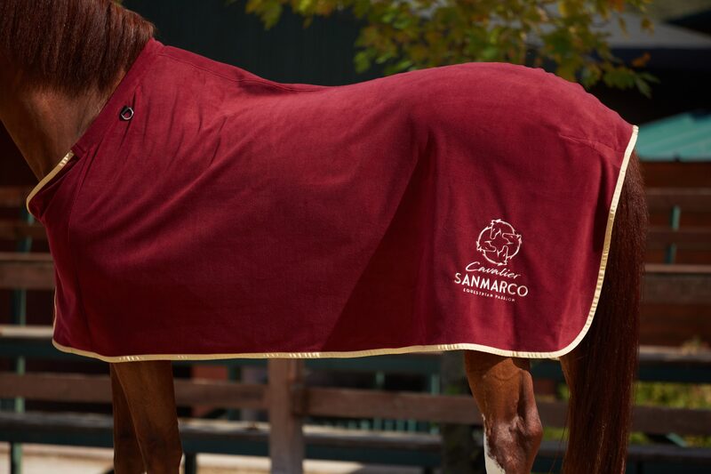 TORONTO BORDEAUX/GOLD FLEECE BLANKET